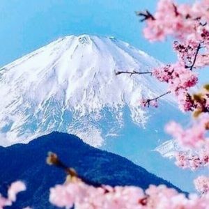 Meet your Posher, Helen